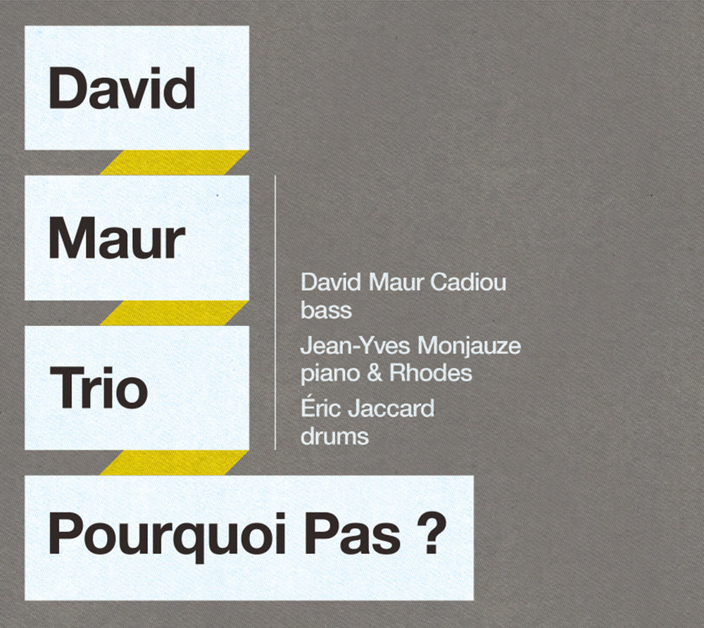 POURQUOI PAS ? - DAVID MAUR TRIO