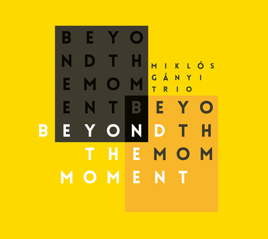 BEYOND THE MOMENT - MIKLOS GANYI TRIO