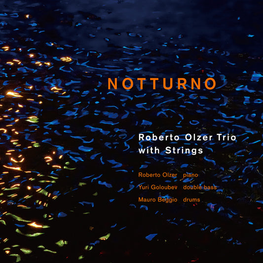 NOTTURNO (LP) - ROBERTO OLZER TRIO
