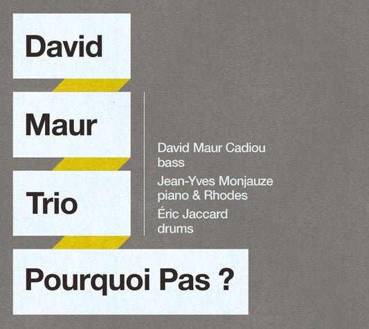 POURQUOI PAS ? - DAVID MAUR TRIO