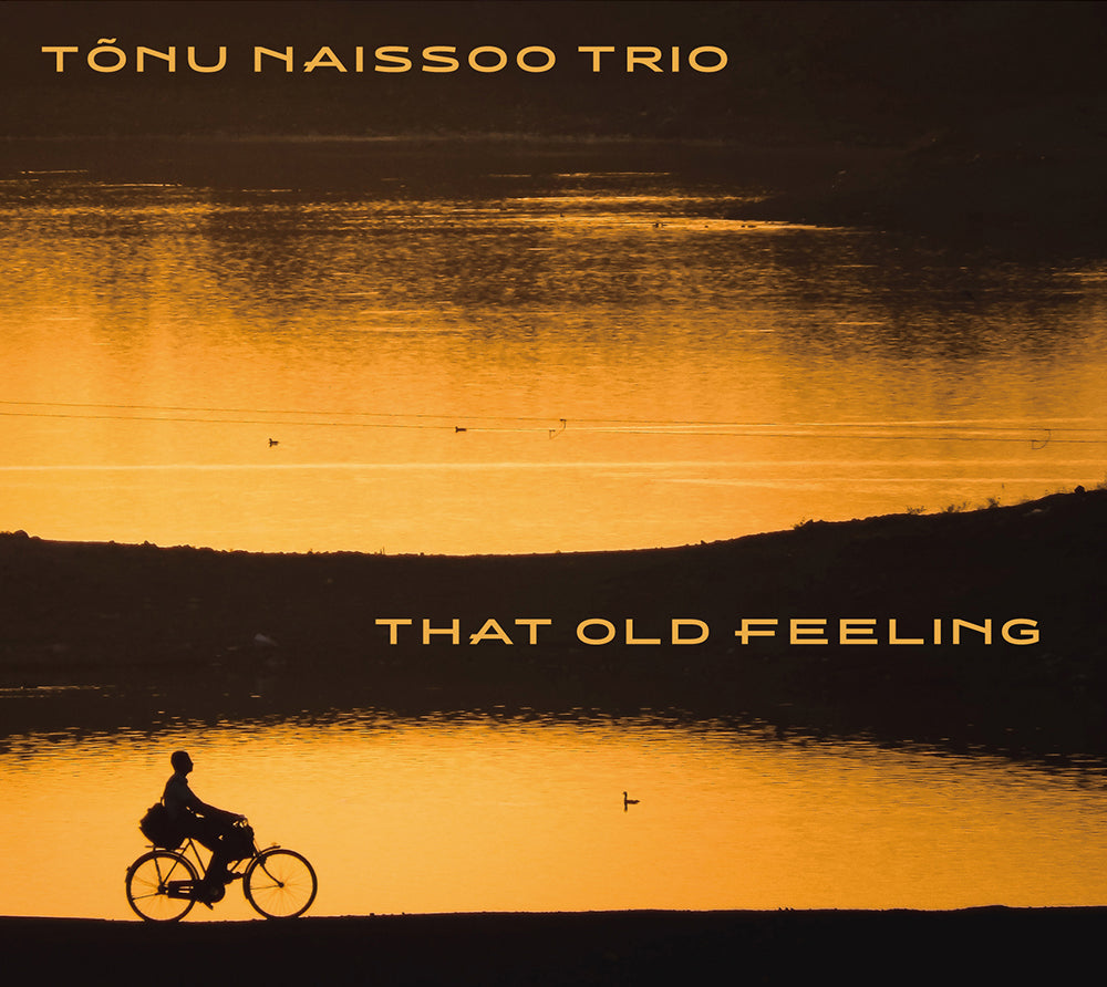 THAT OLD FEELING - TONU NAISSOO TRIO
